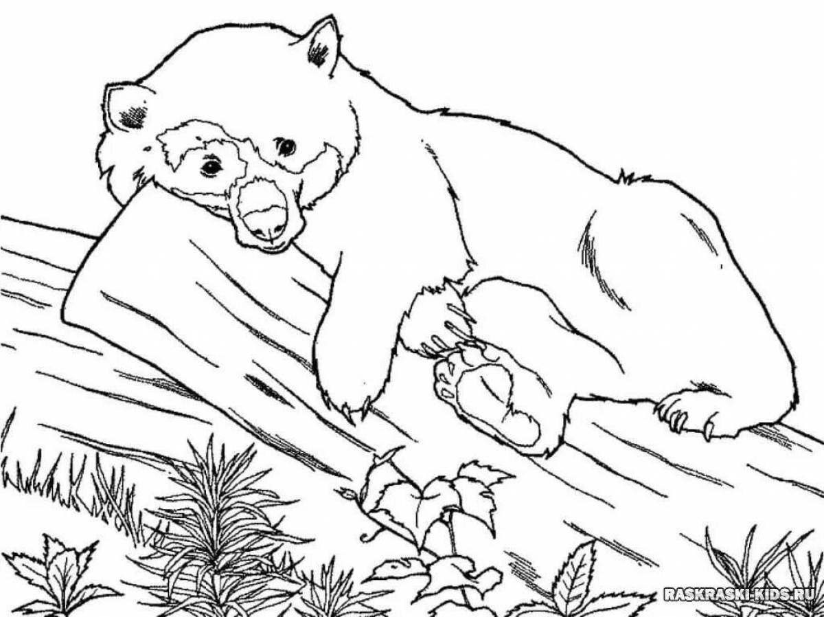 Colorful bear in the forest coloring book