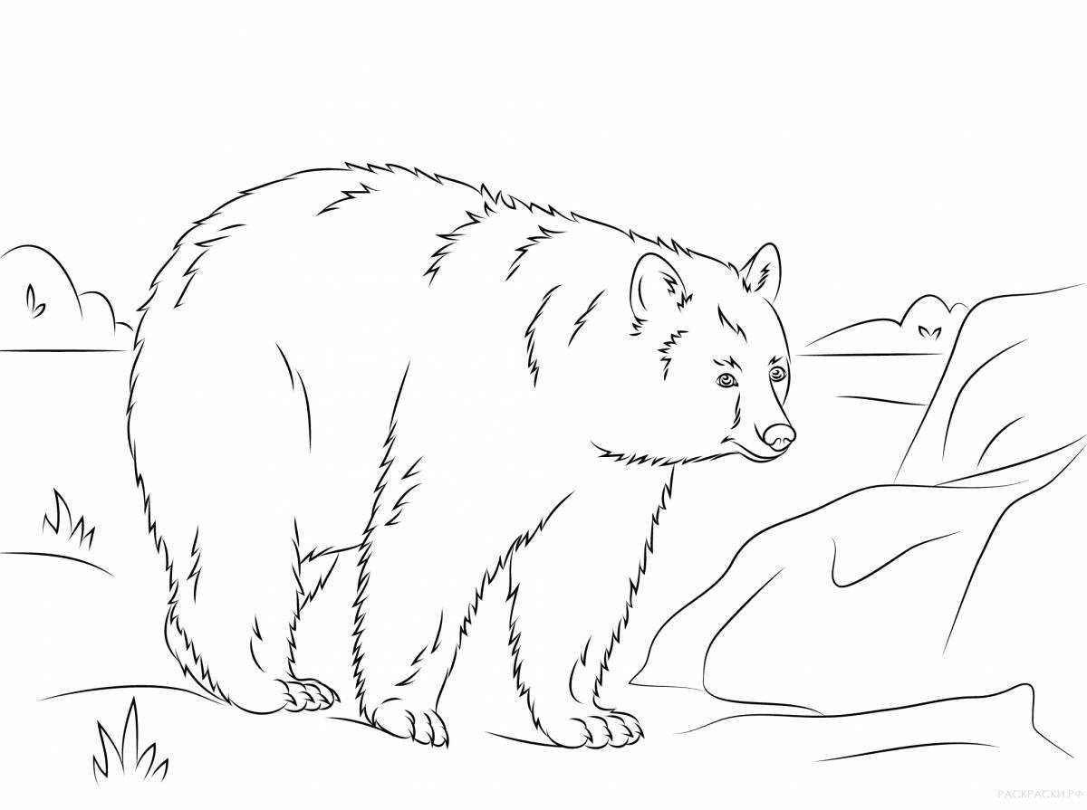 Coloring book shining bear in the forest