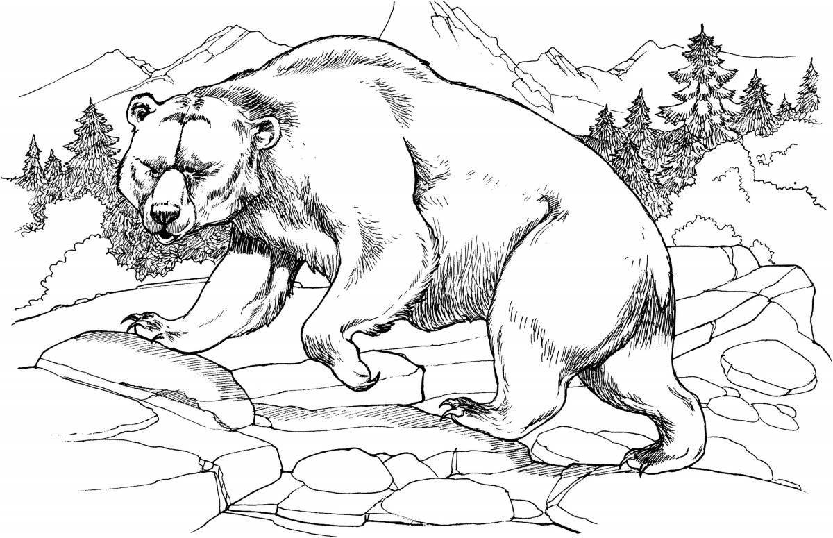 Coloring book sparkling bear in the forest