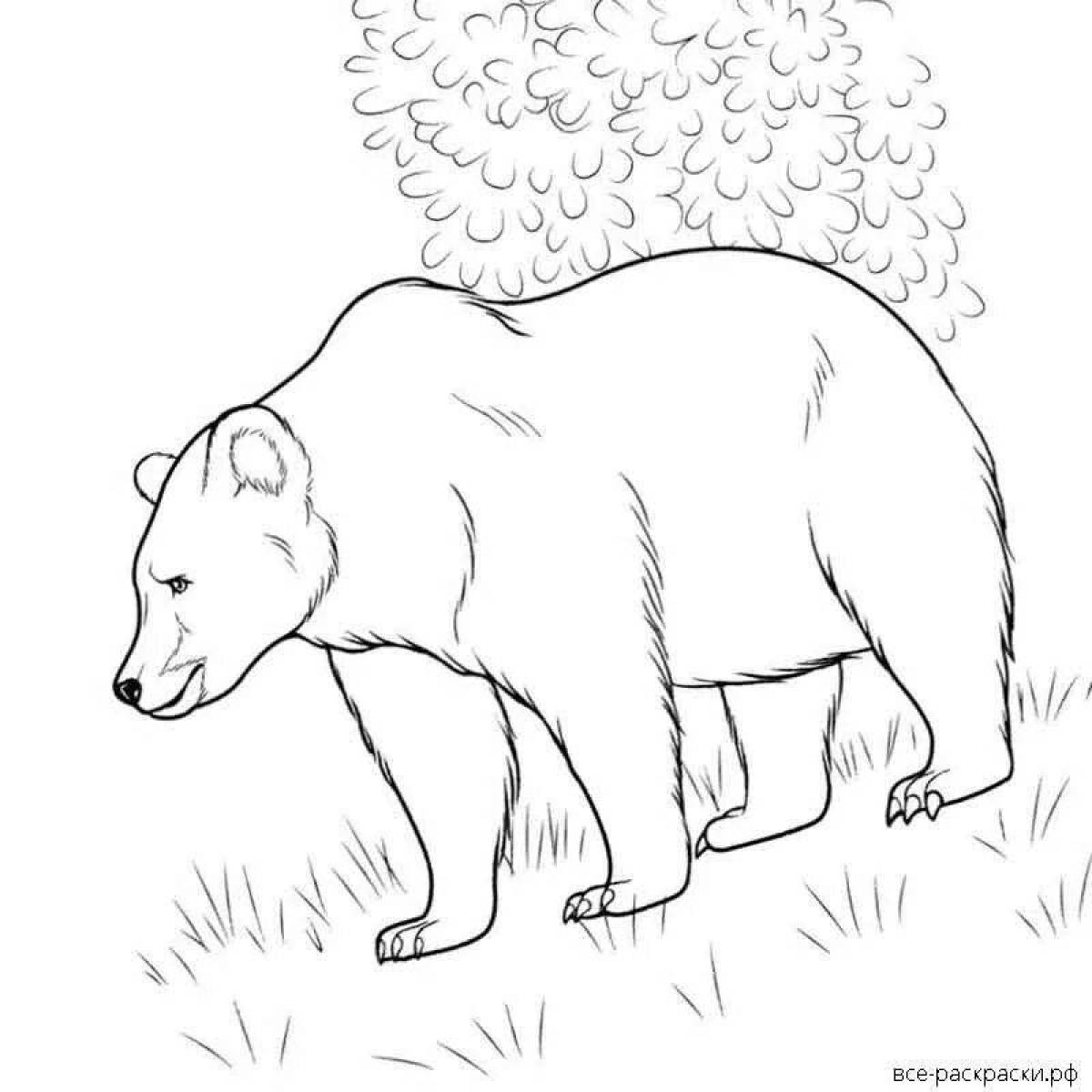 Bear in the forest #7