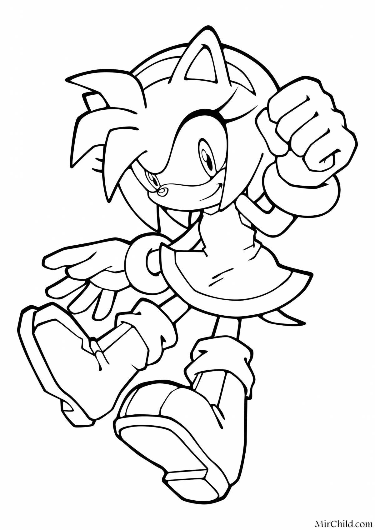 Sonic and amy rose fun coloring book