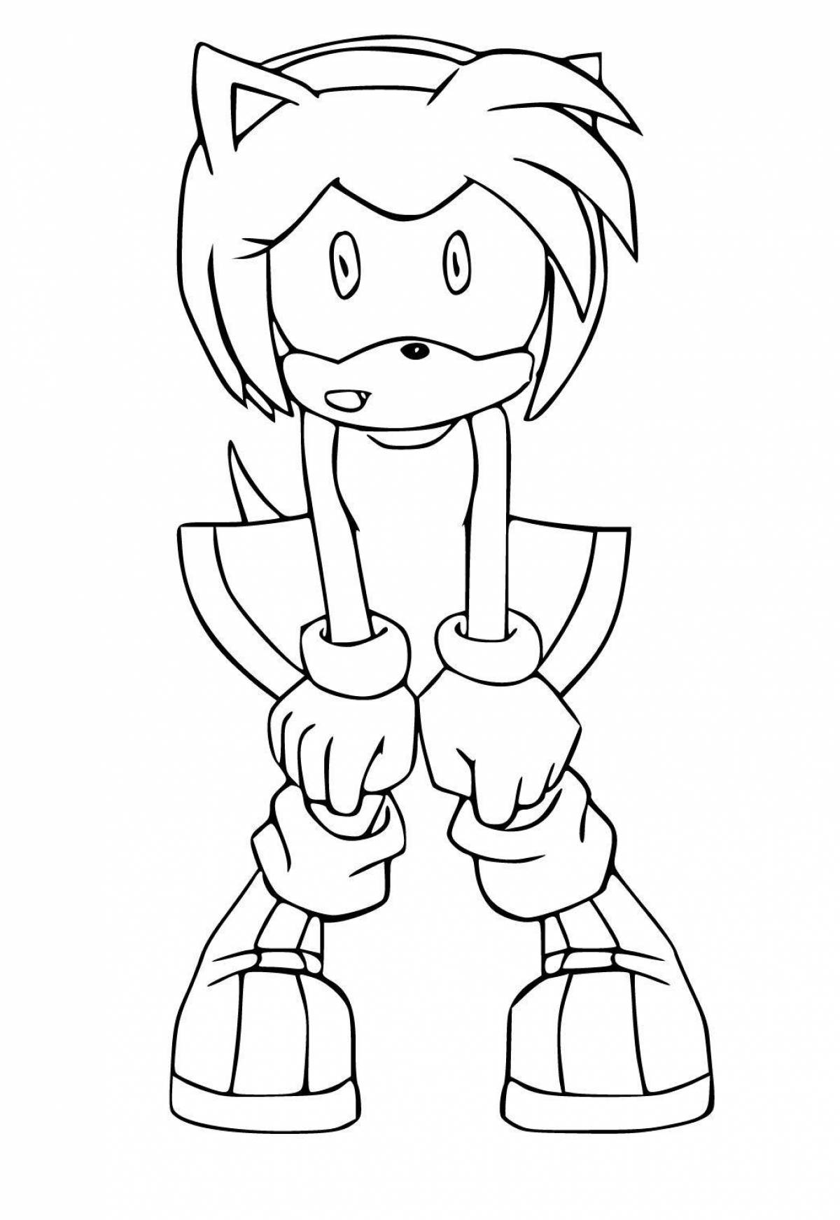 Flashing sonic and amy rose coloring book
