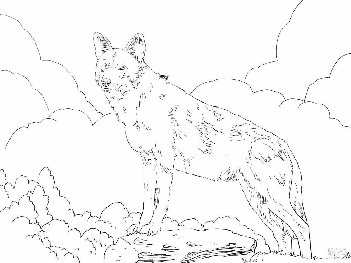 Coloring book bright red wolf