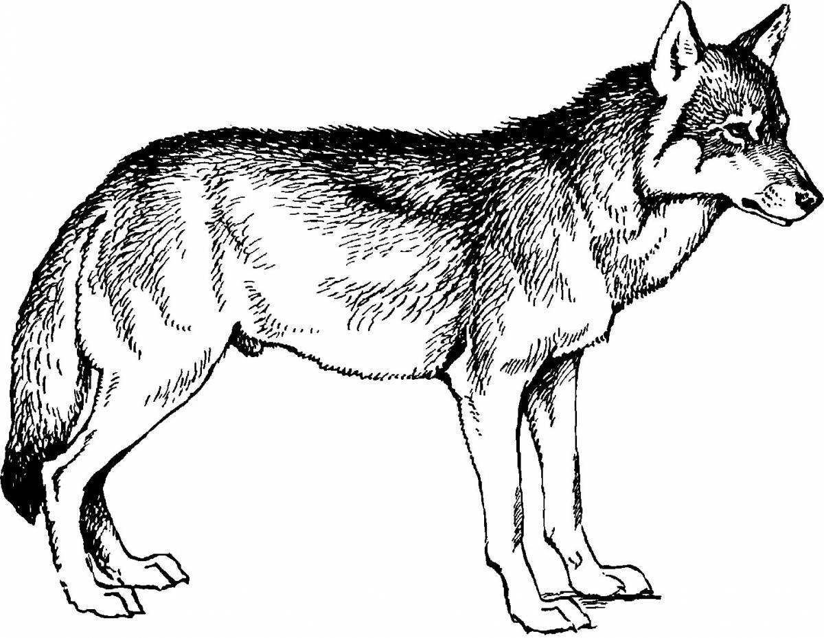 Glowing red wolf coloring page