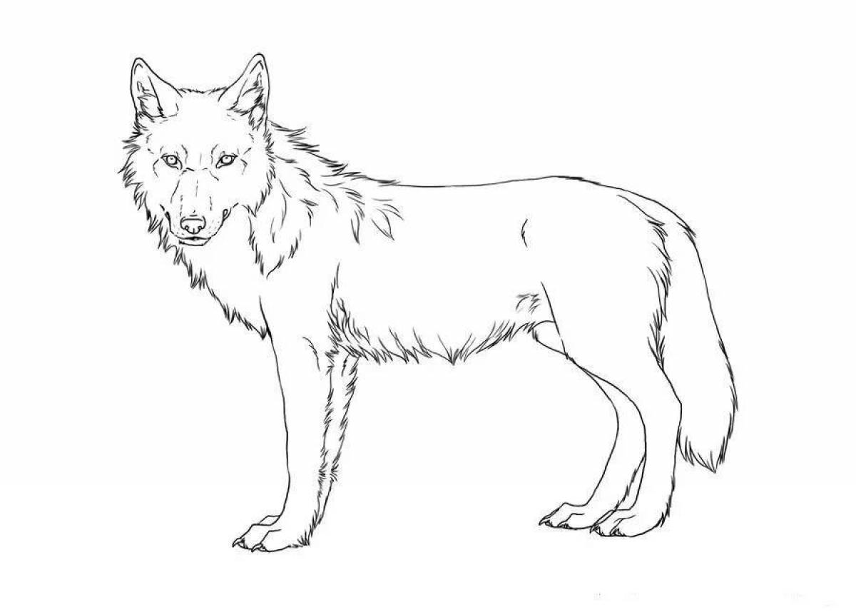 Coloring book of a dazzling red wolf