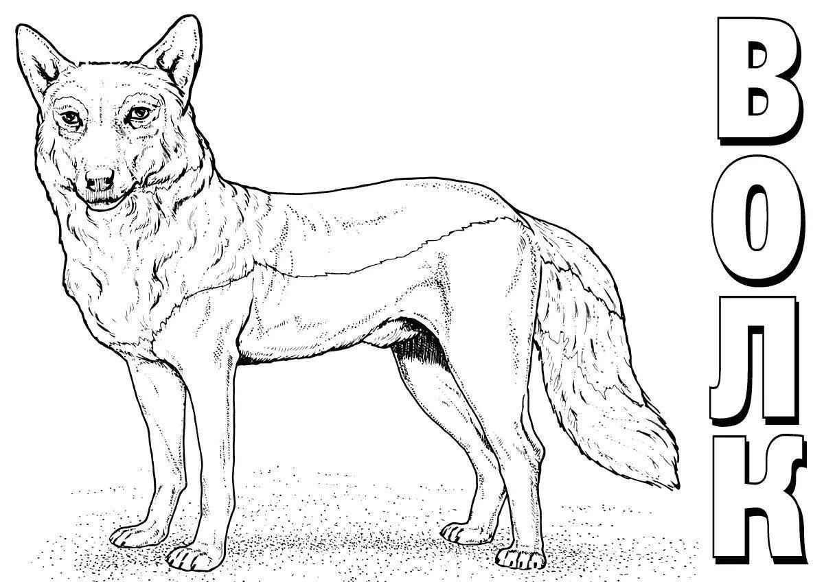 Adorable red wolf coloring page