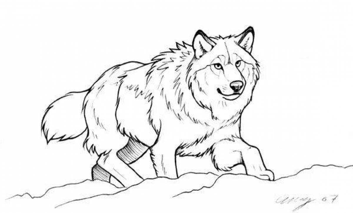 Очаровательная раскраска «красный волк»