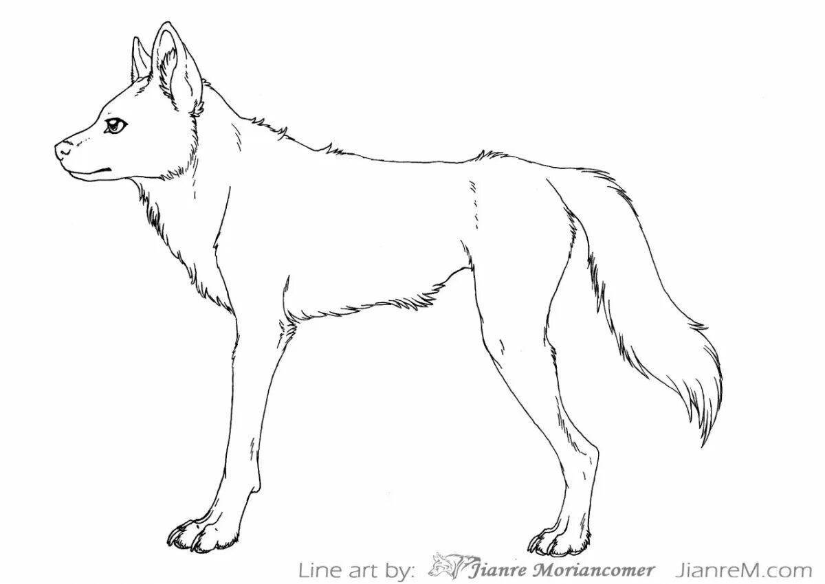 Impressive red wolf coloring