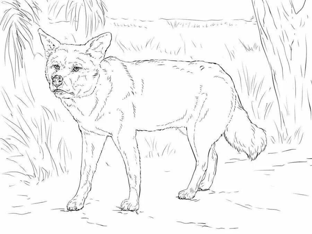Incredible red wolf coloring book