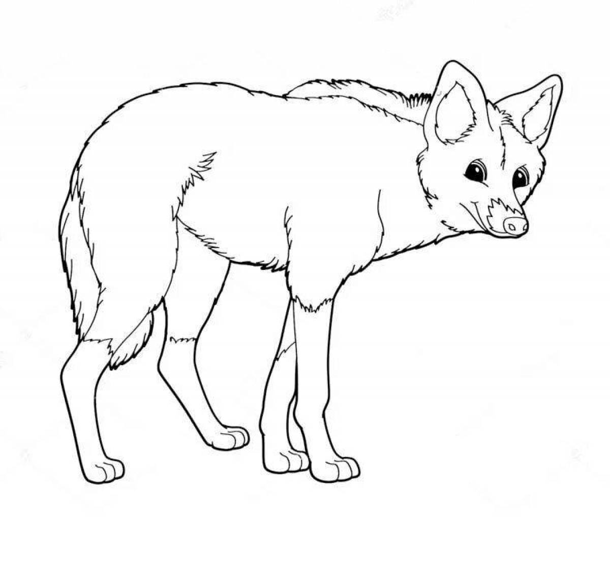 Coloring book noble red wolf