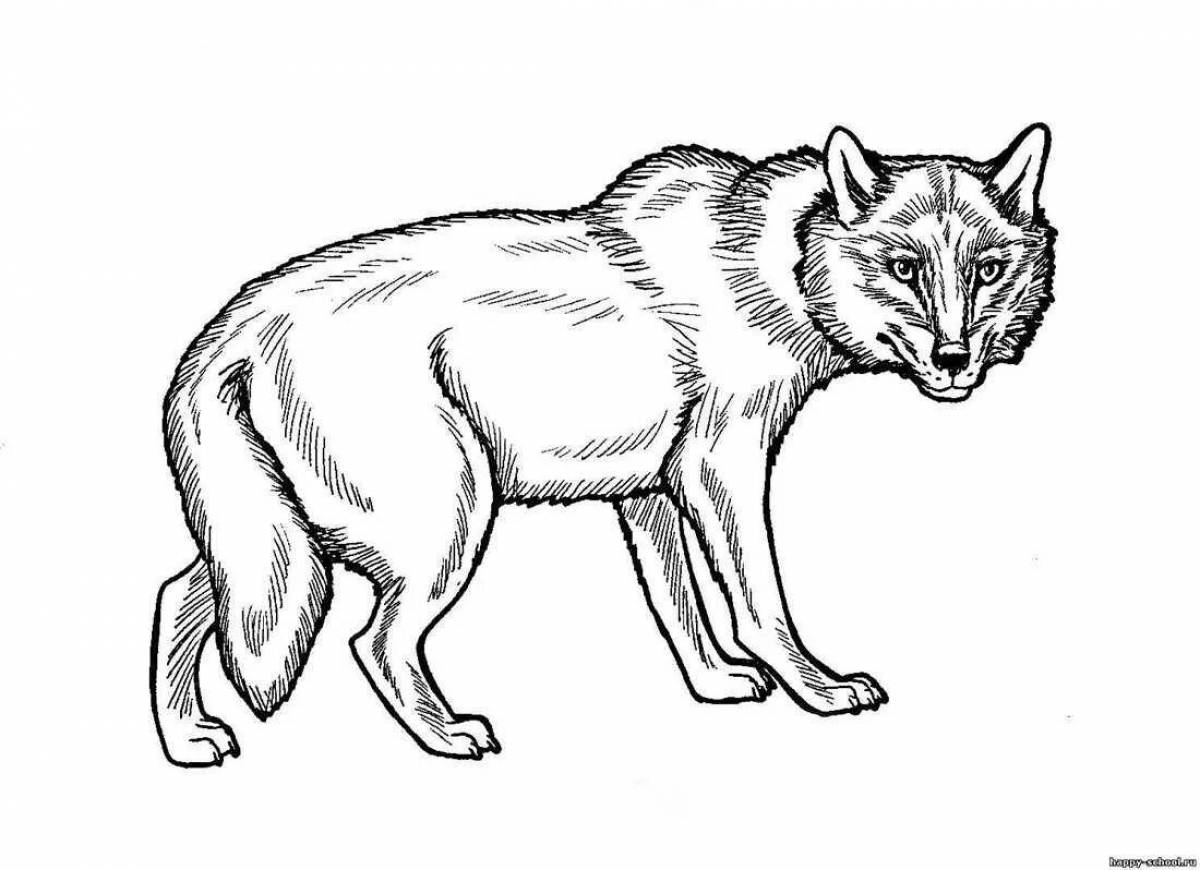 Раскраска Североамериканский красный волк, стоящий на уступе