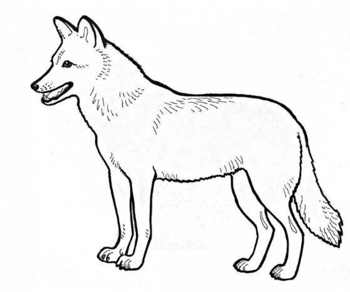 Red wolf from red book #1