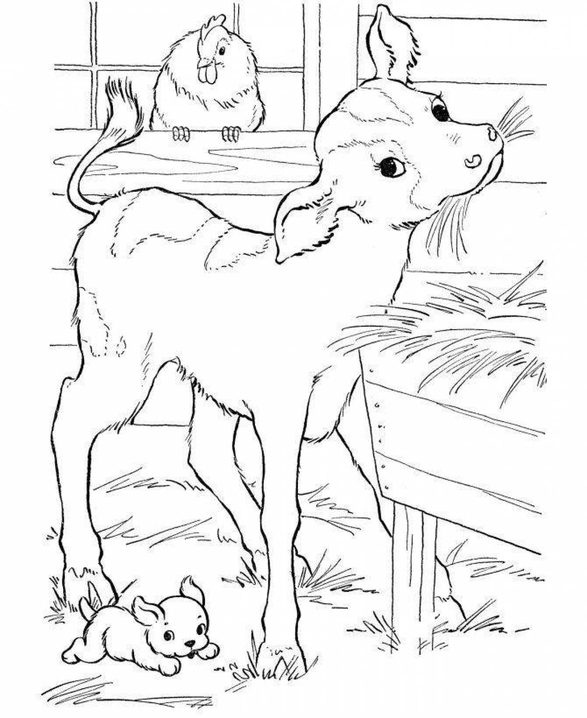 Creative coloring book for children 5 years old Pets