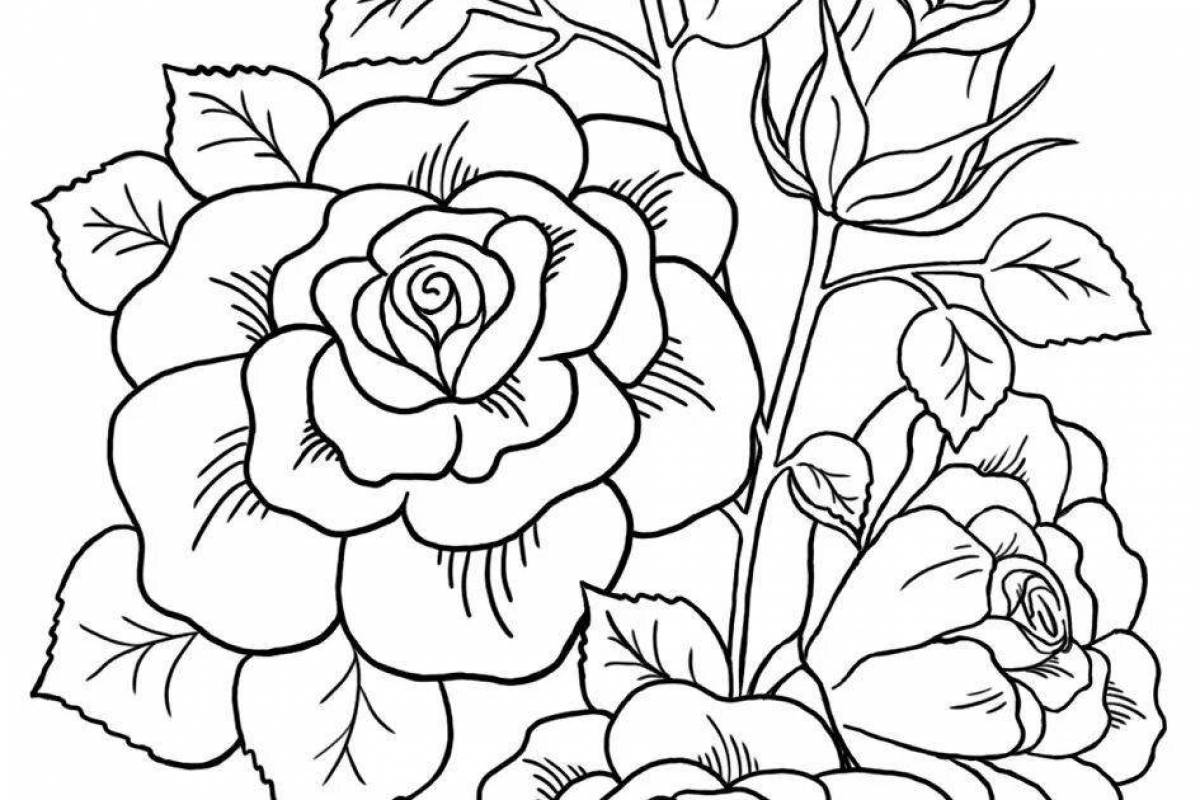 Coloring-dream coloring page com