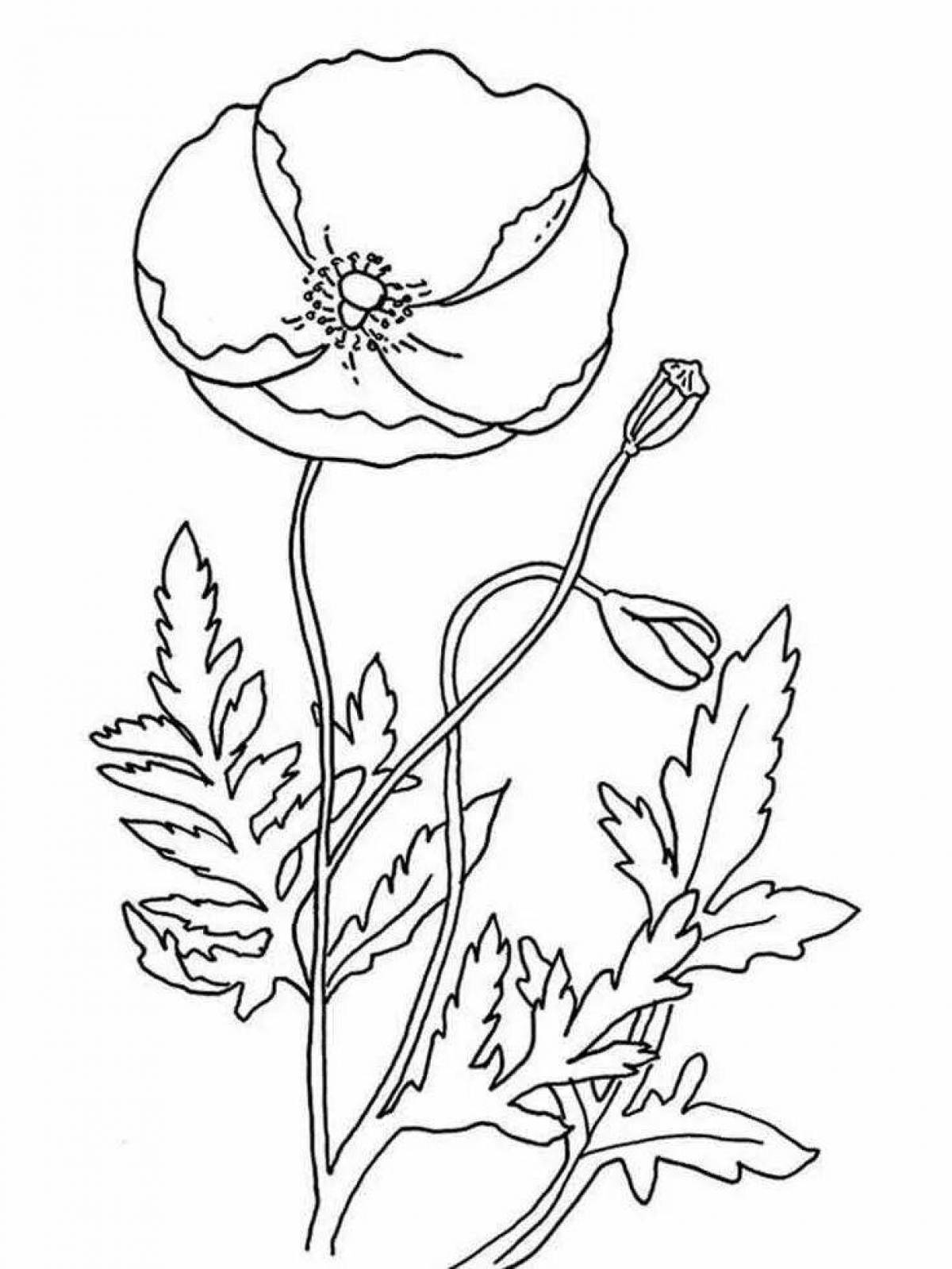 Coloring page playful poppy