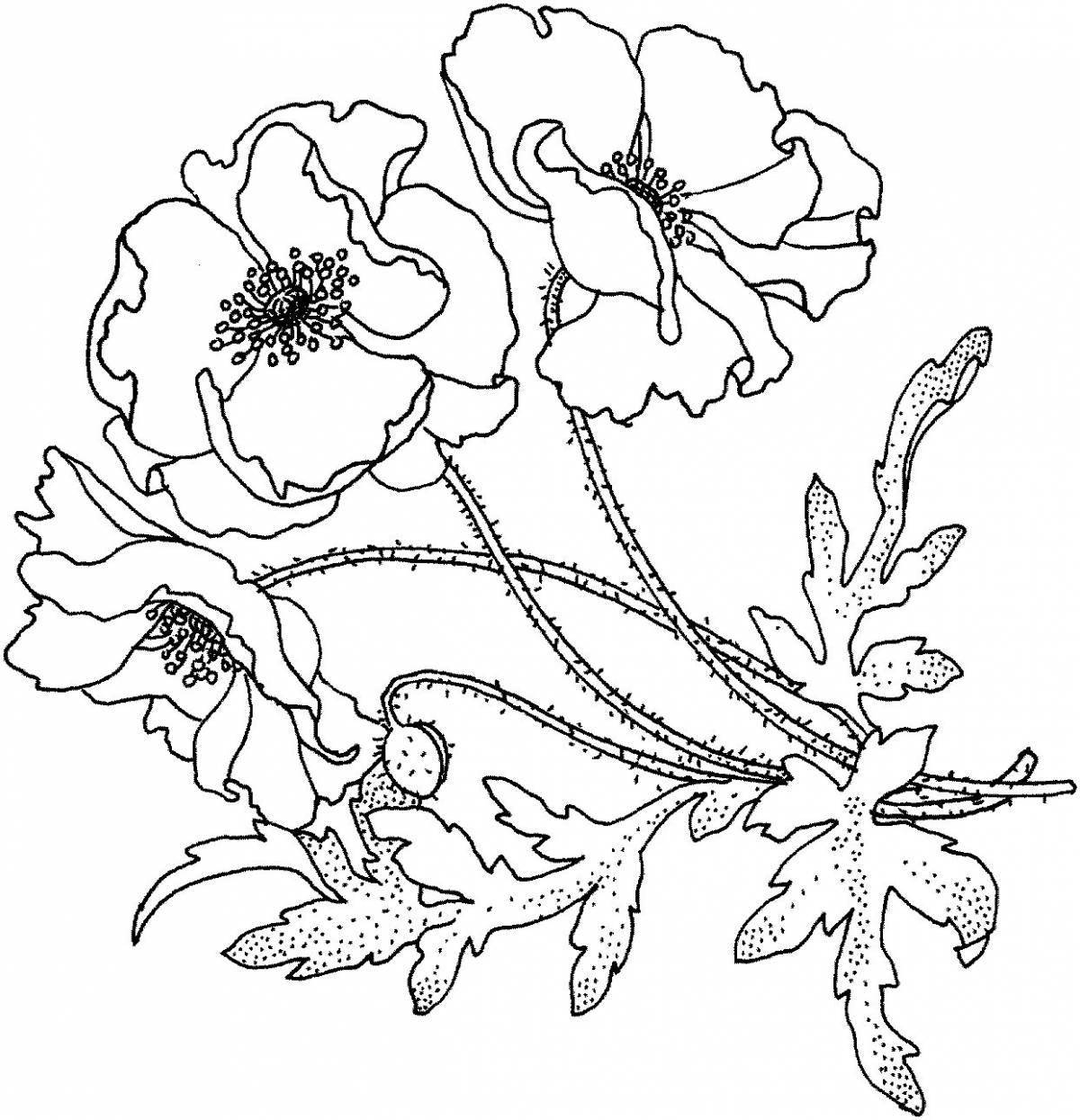Coloring page nice poppy