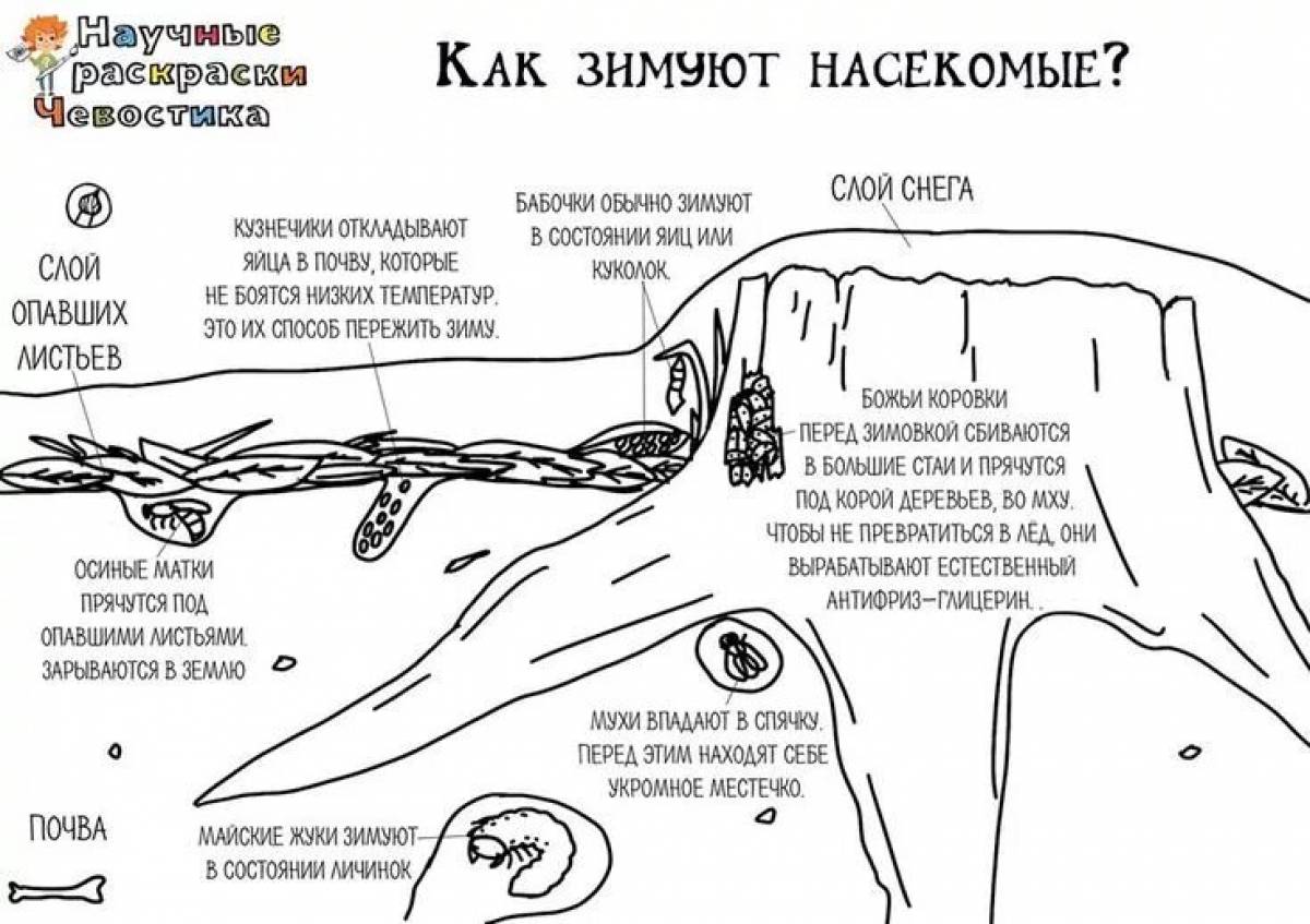 Funny shawty coloring book