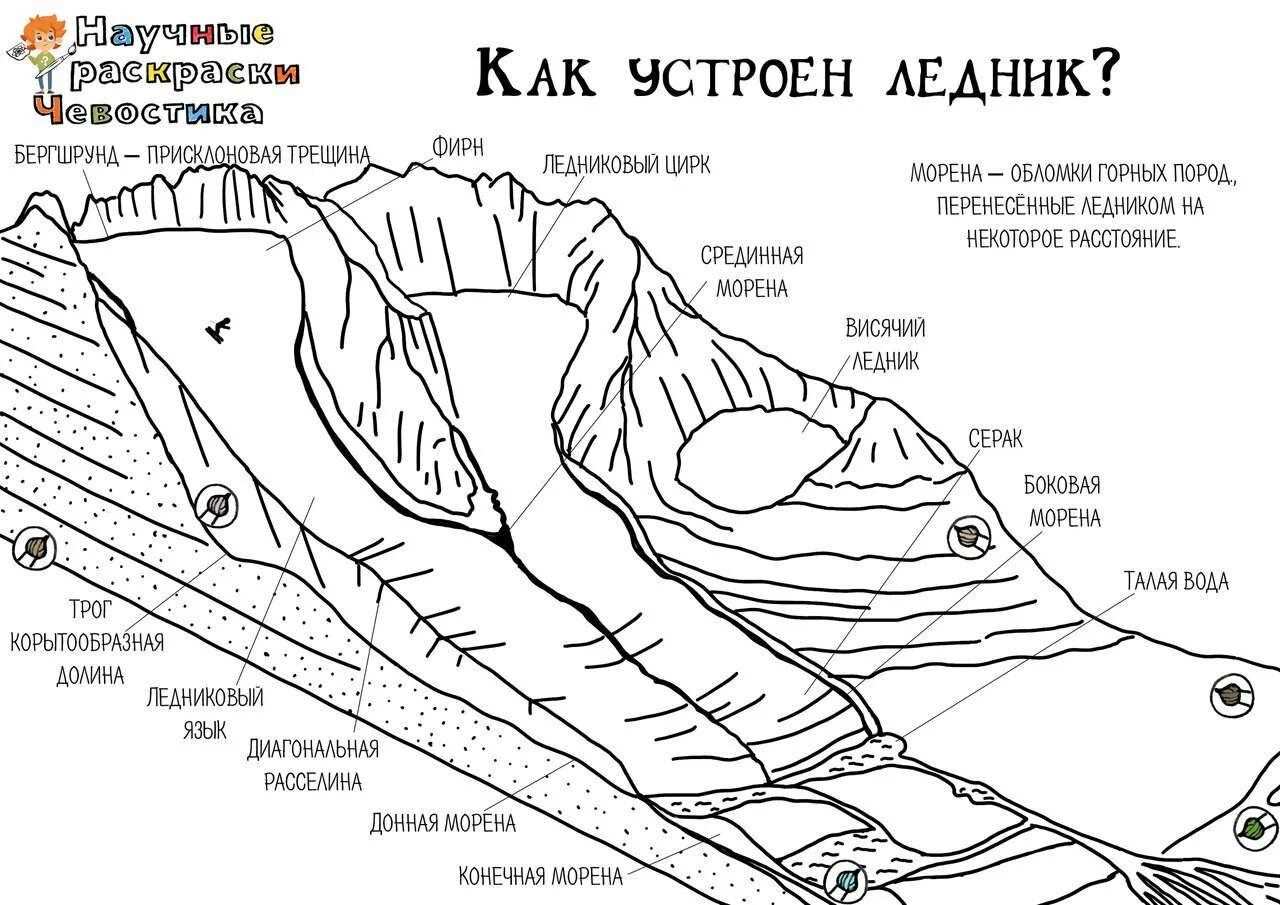 Волнующая раскраска chevostik