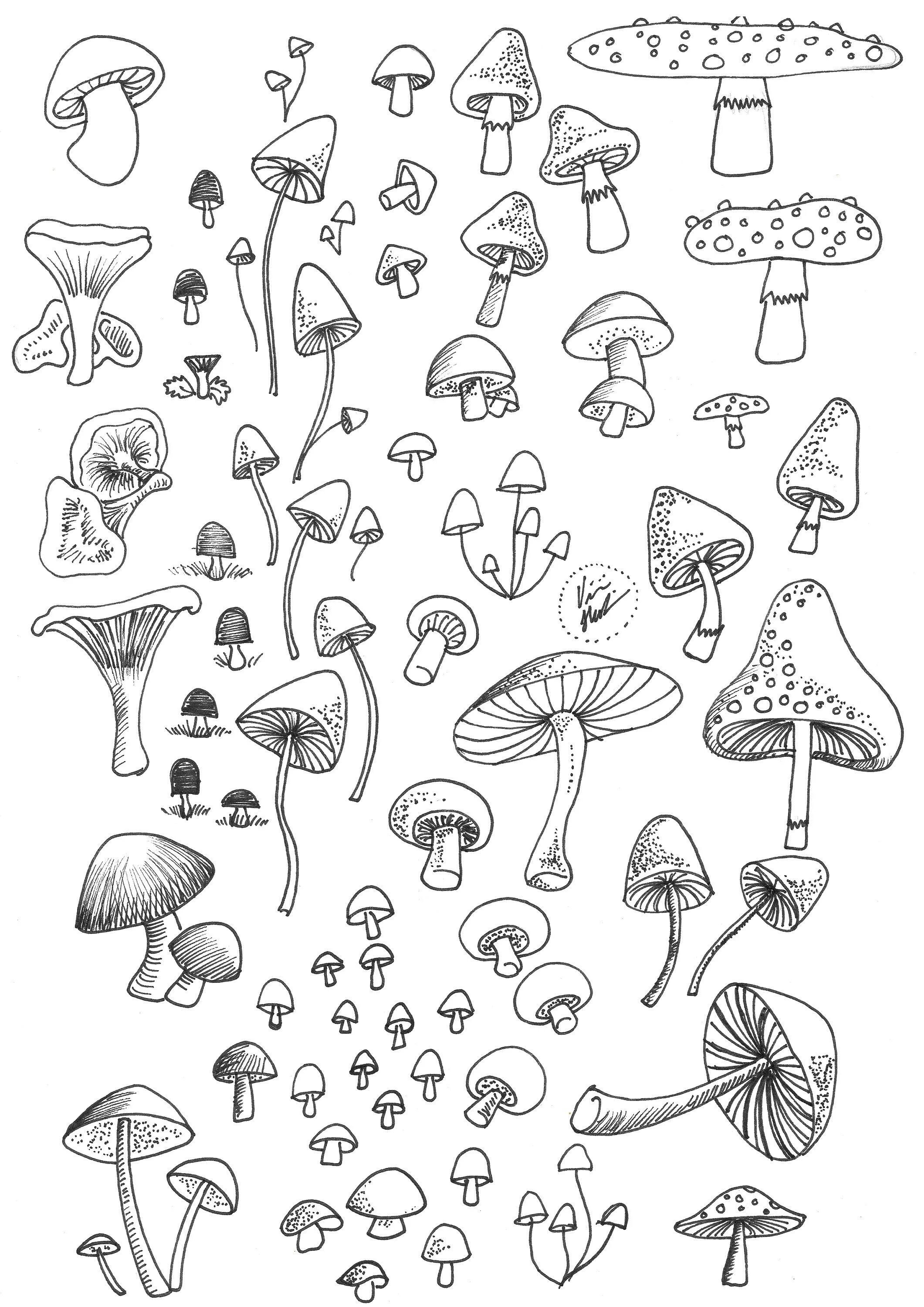 Fun coloring fly agaric aesthetics