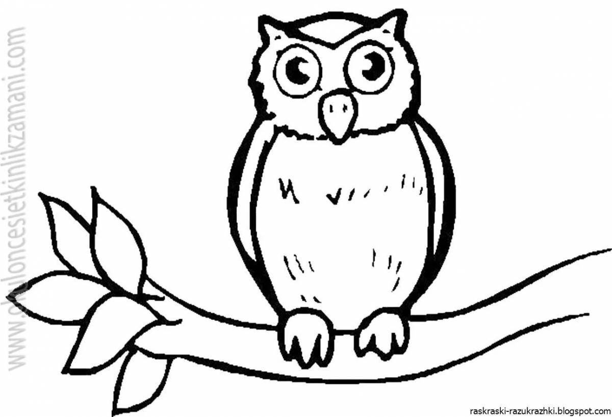 Adorable owl coloring book for kids