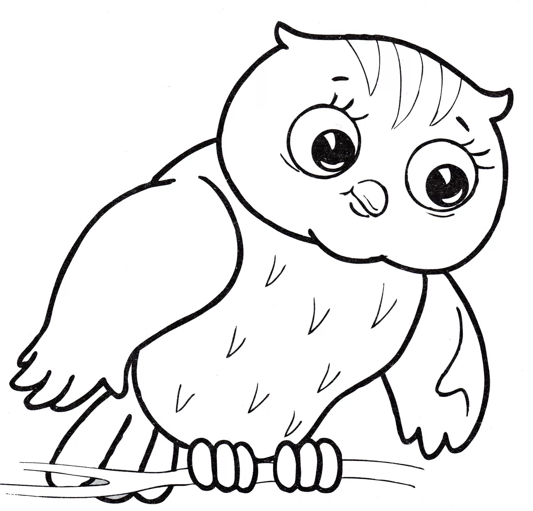 Owl for kids #16