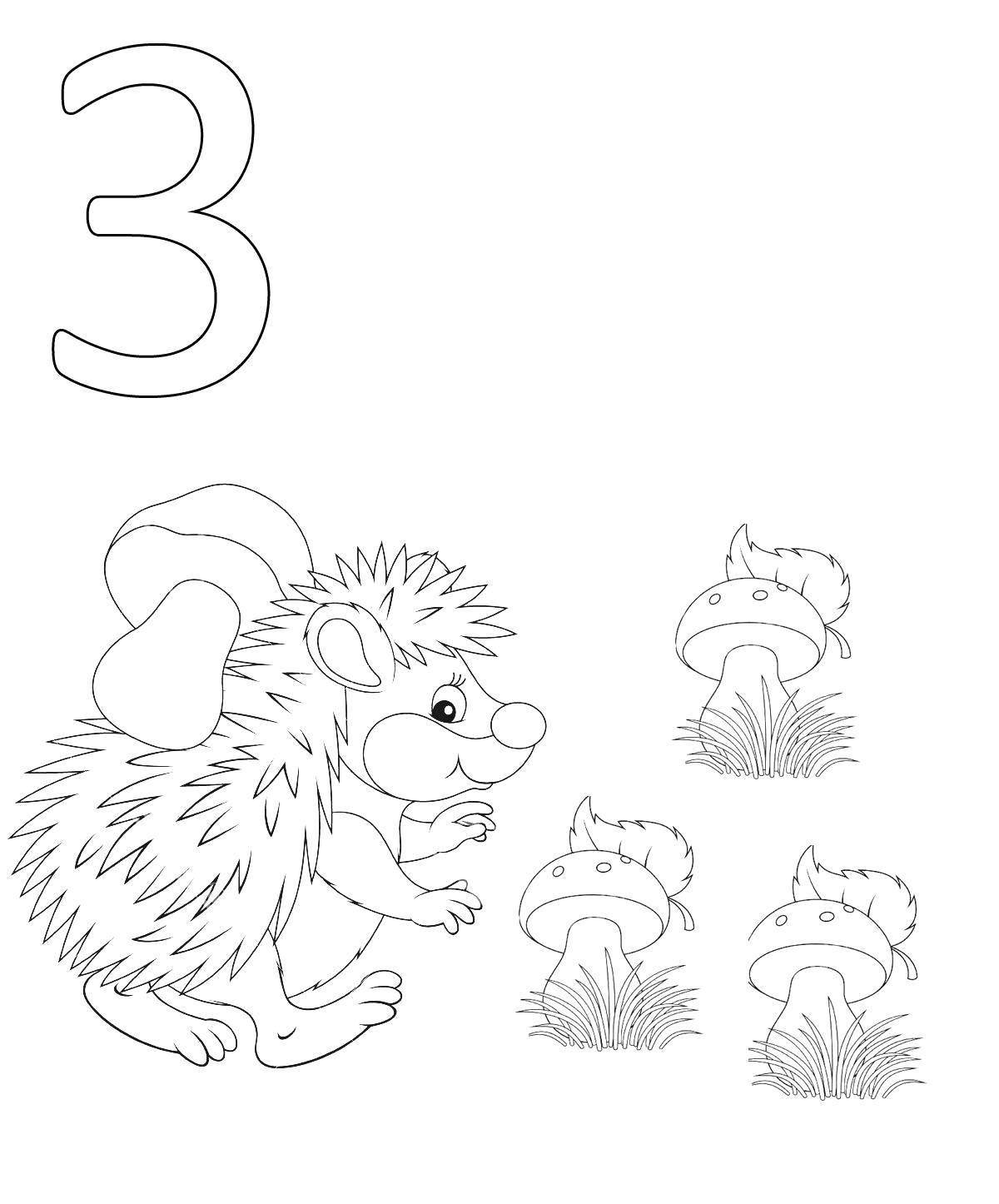 A fun coloring book for kids with the letter z