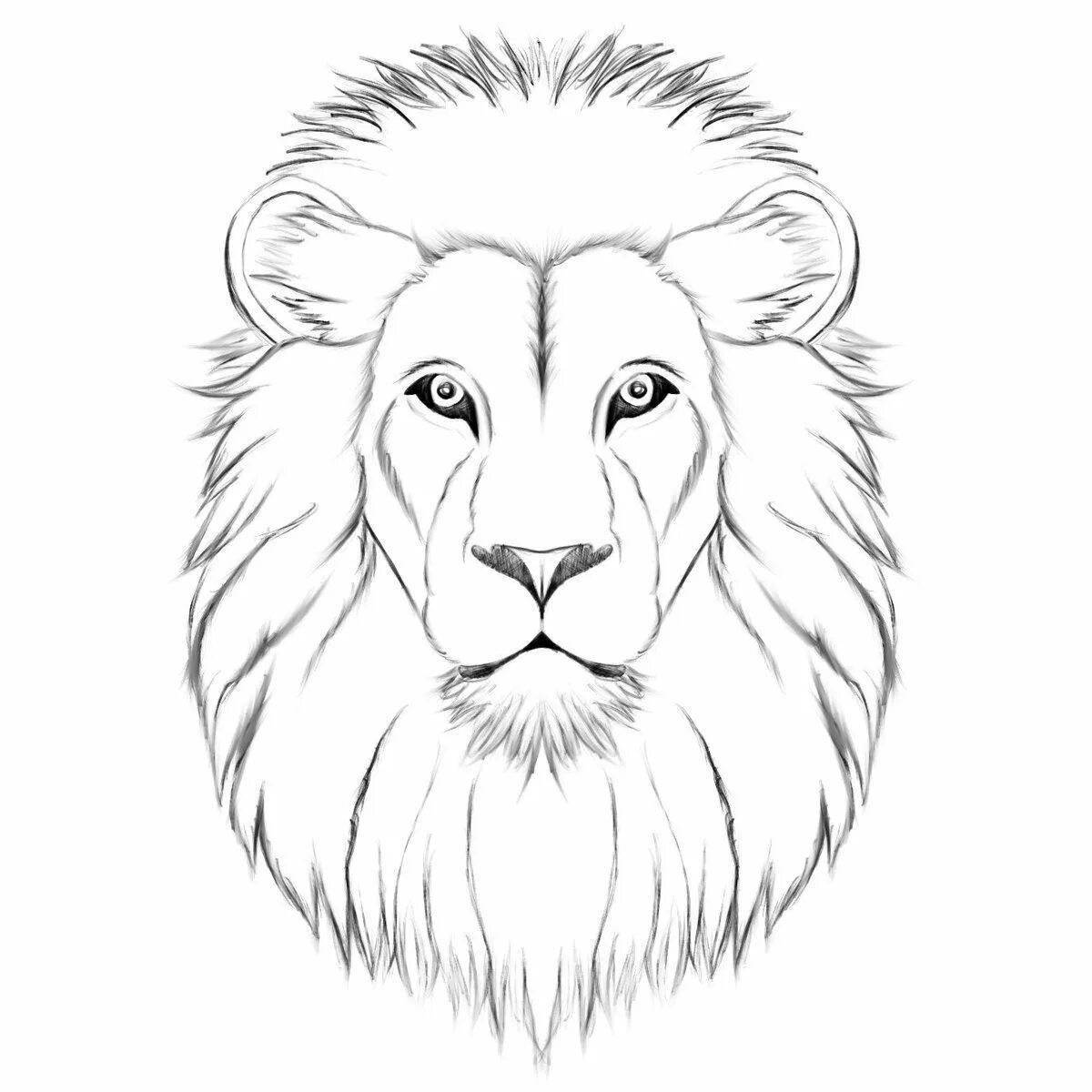 Раскраска великолепная морда льва
