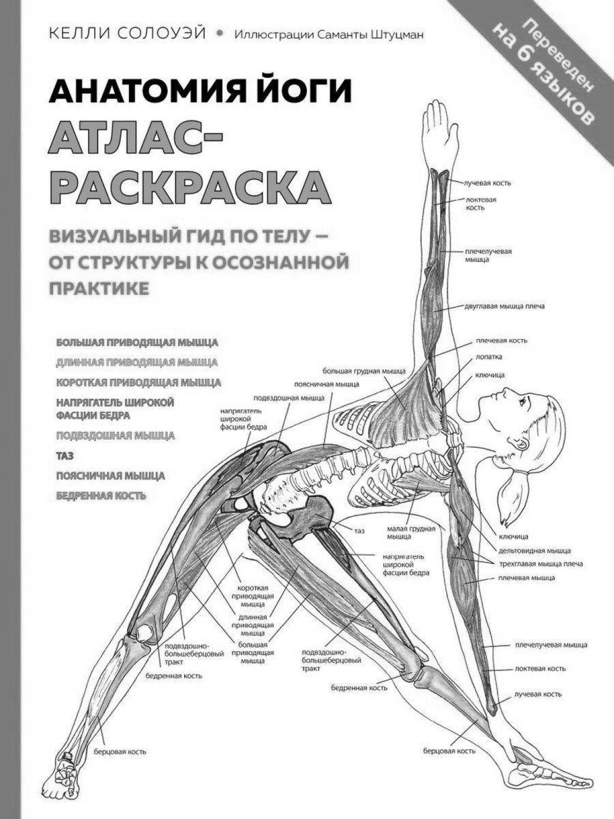Bright anatomy atlas coloring page
