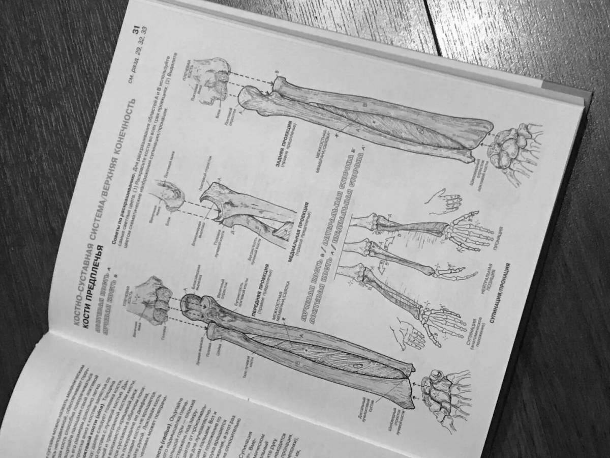 Coloring book glowing anatomical atlas