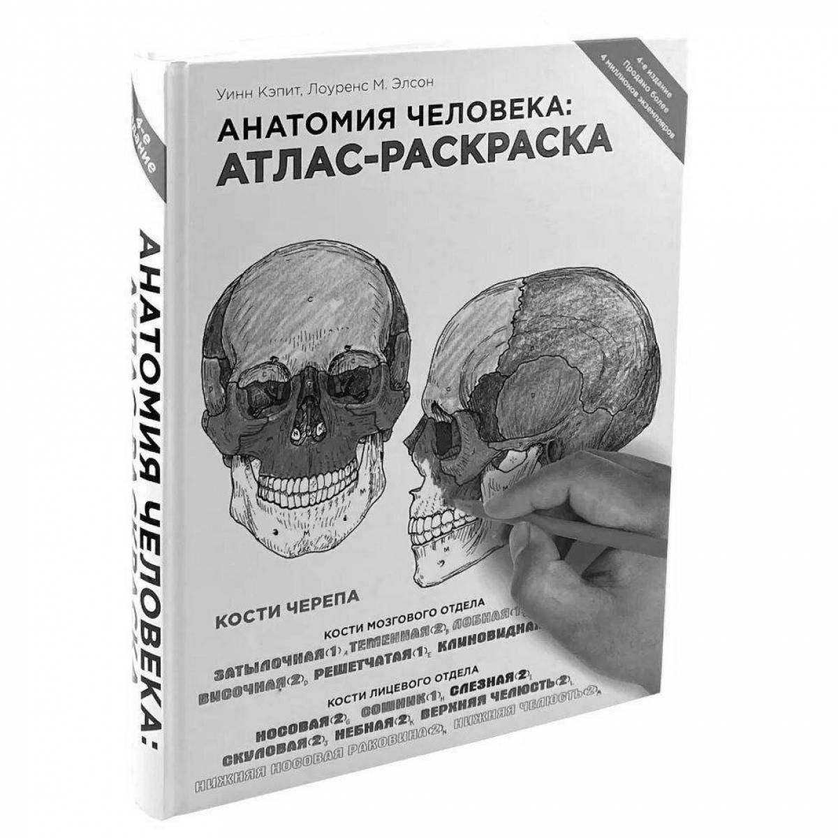 Причудливая раскраска анатомического атласа