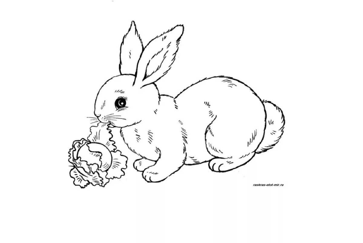 Радостный заяц-раскраска 2023