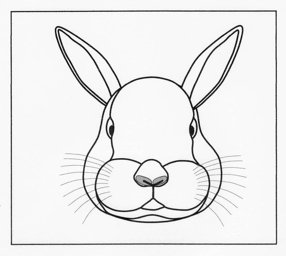 Adorable rabbit head coloring page