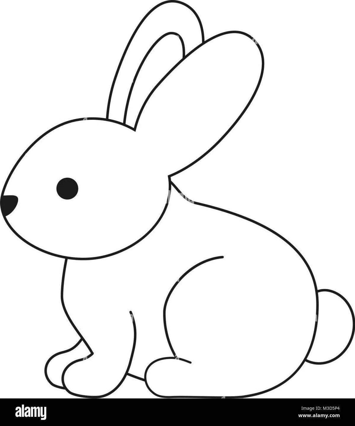 Colorful coloring hare outline