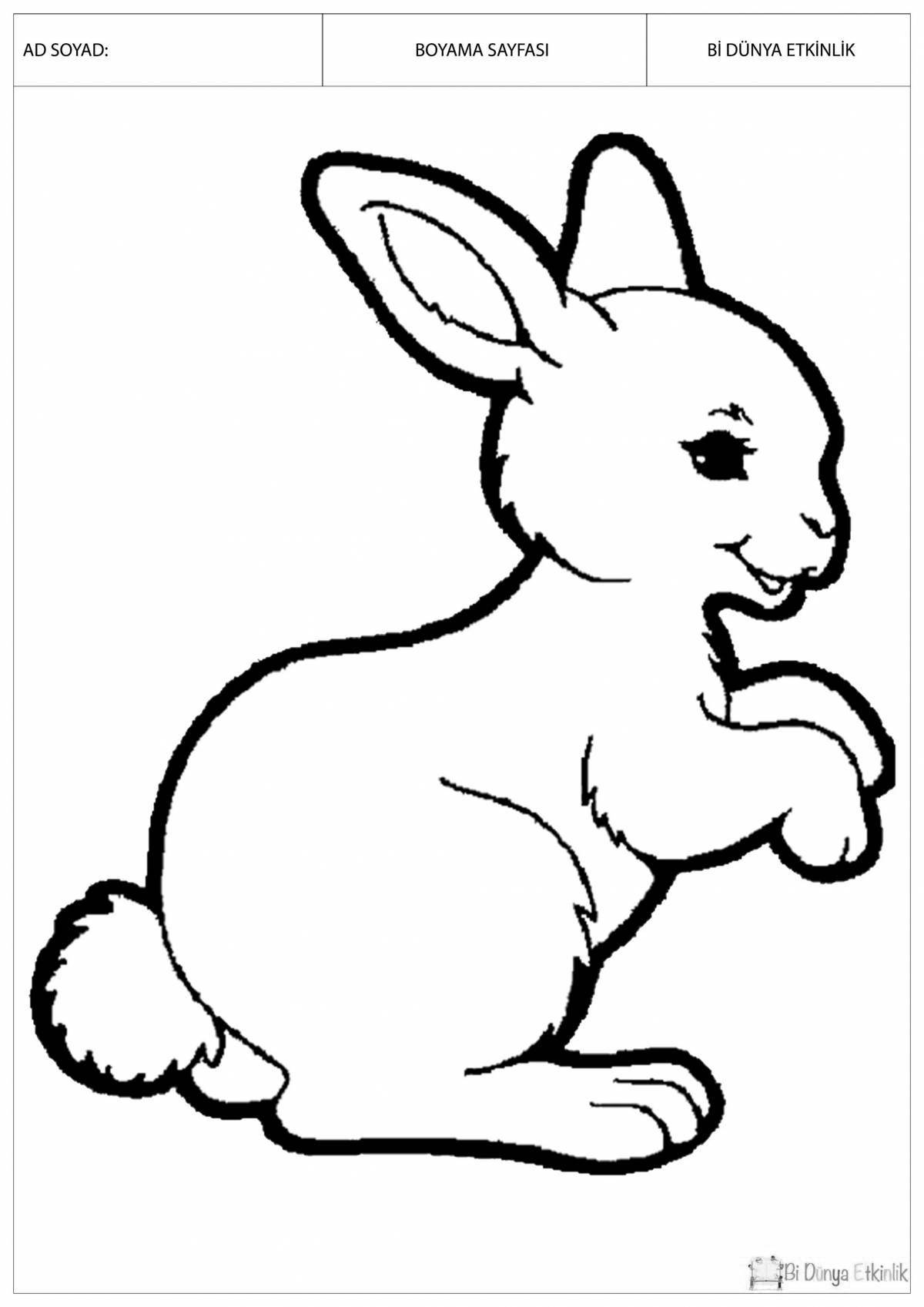 Fun coloring hare outline