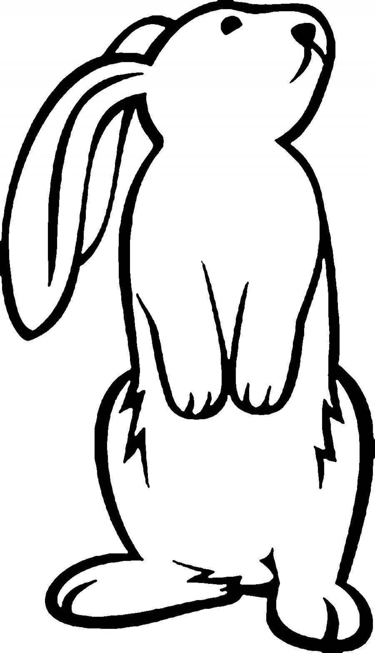 Charming hare coloring outline