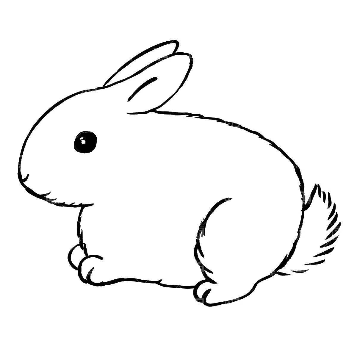 Magic coloring hare outline
