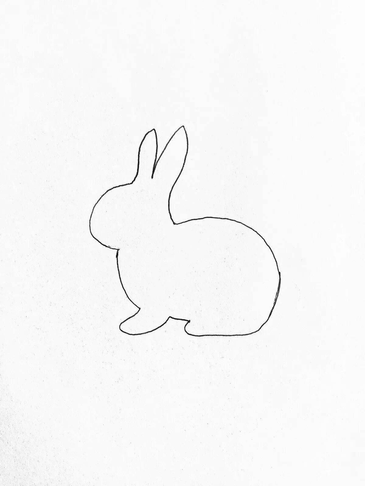Cute coloring hare outline