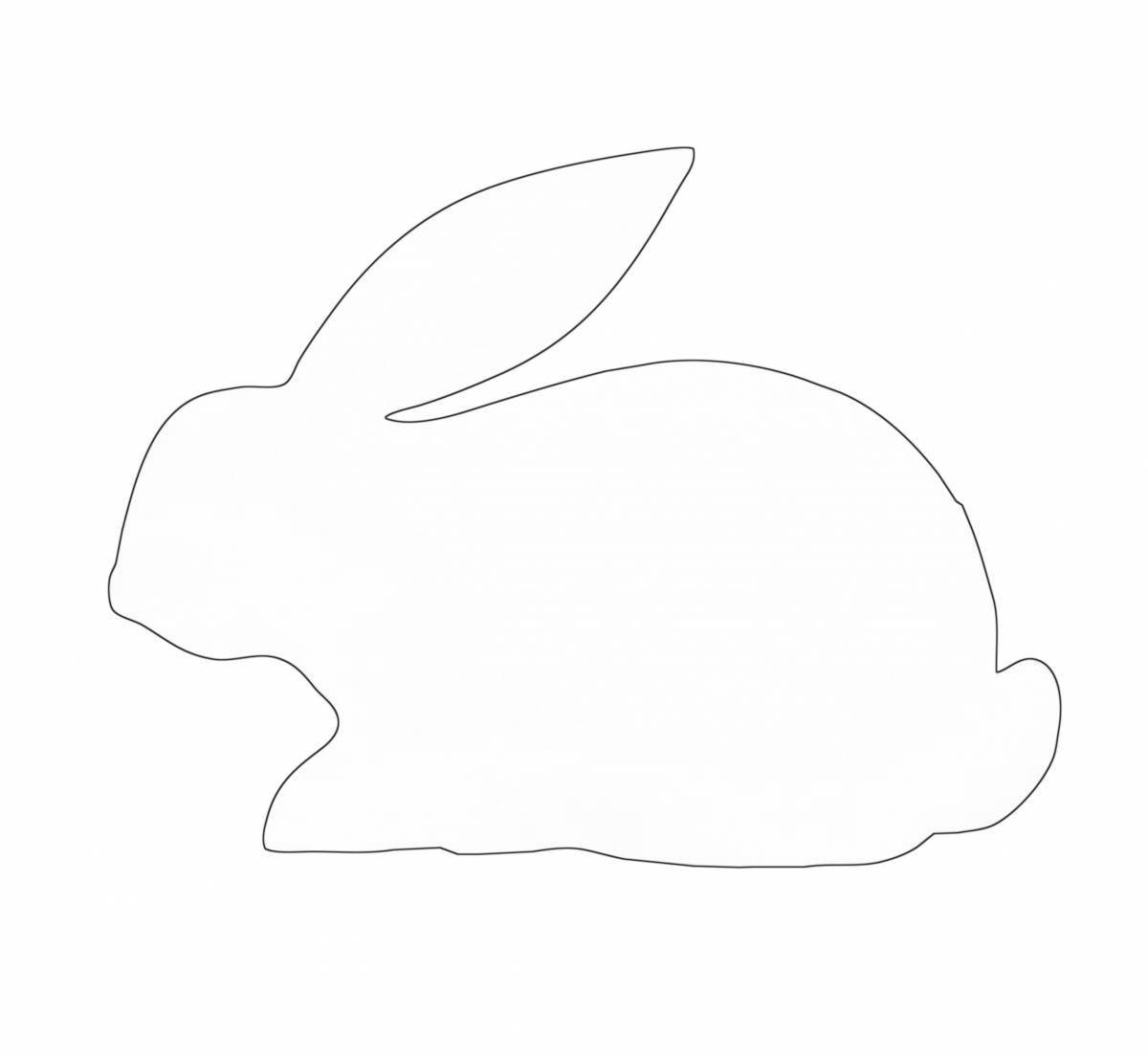 Outline of a cute rabbit coloring book