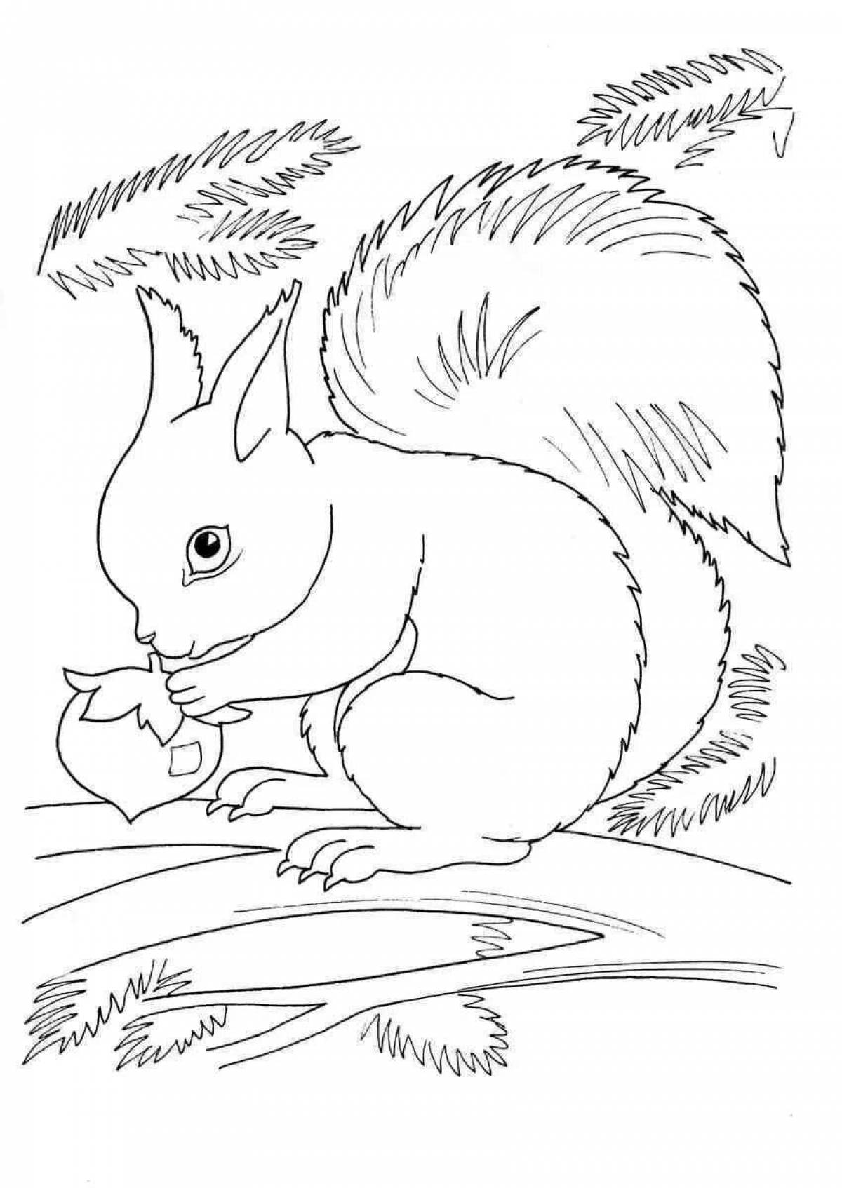 Colorful winter squirrel coloring page