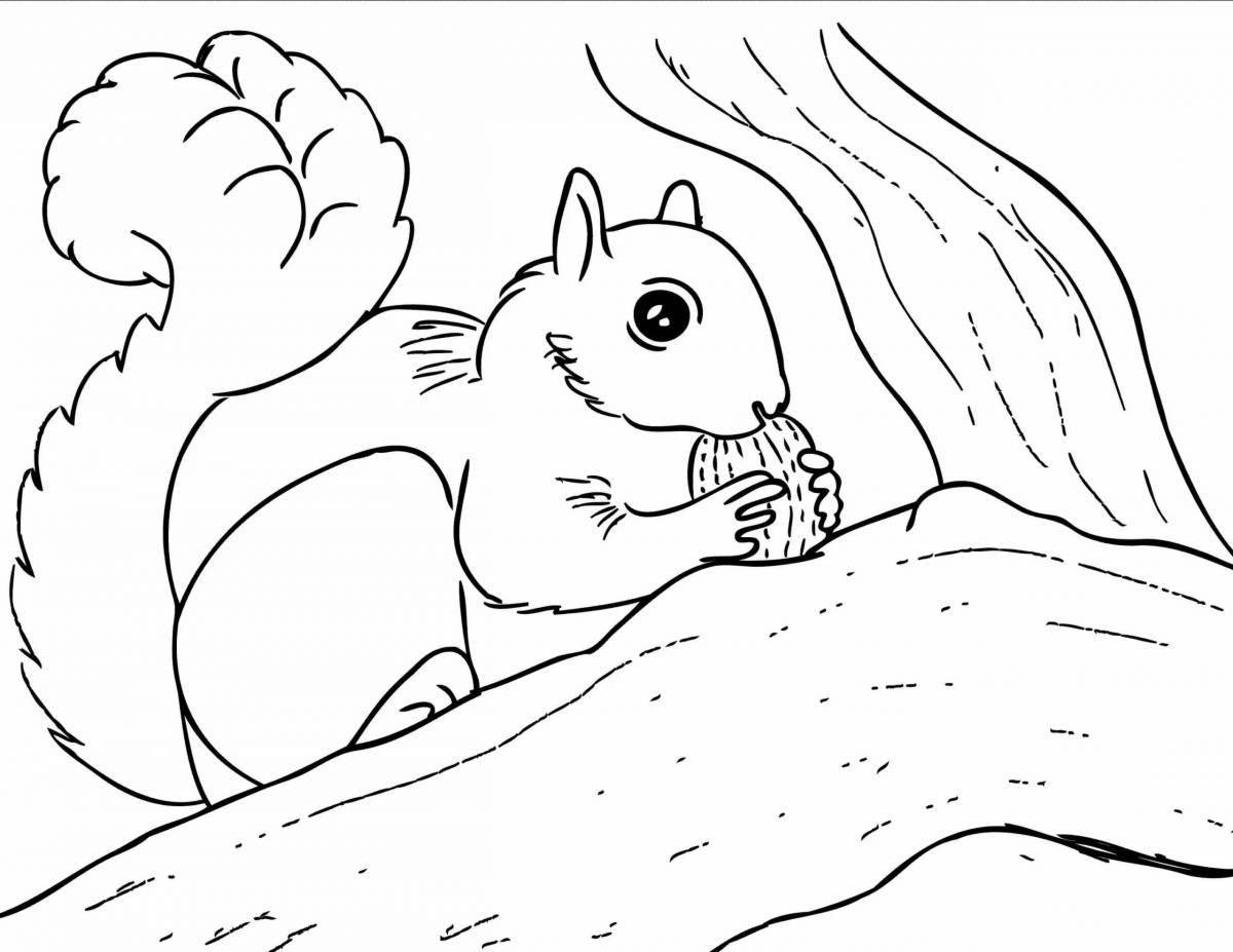 Coloring book brave winter squirrel