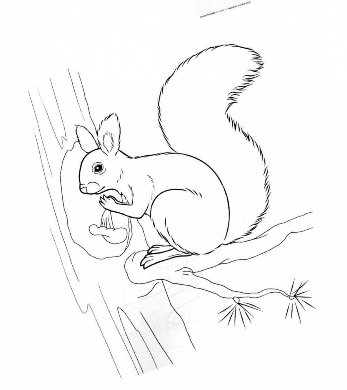 King winter squirrel coloring page