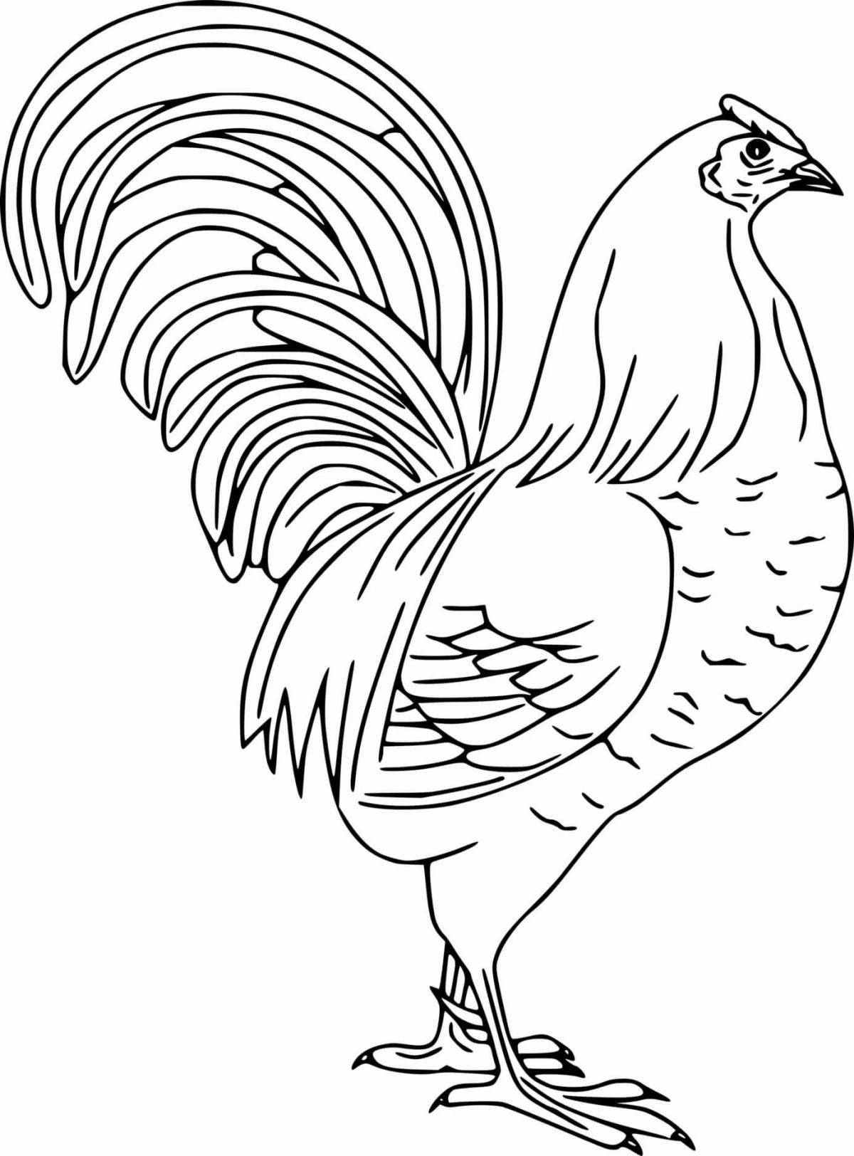 Delightful cockerel drawing