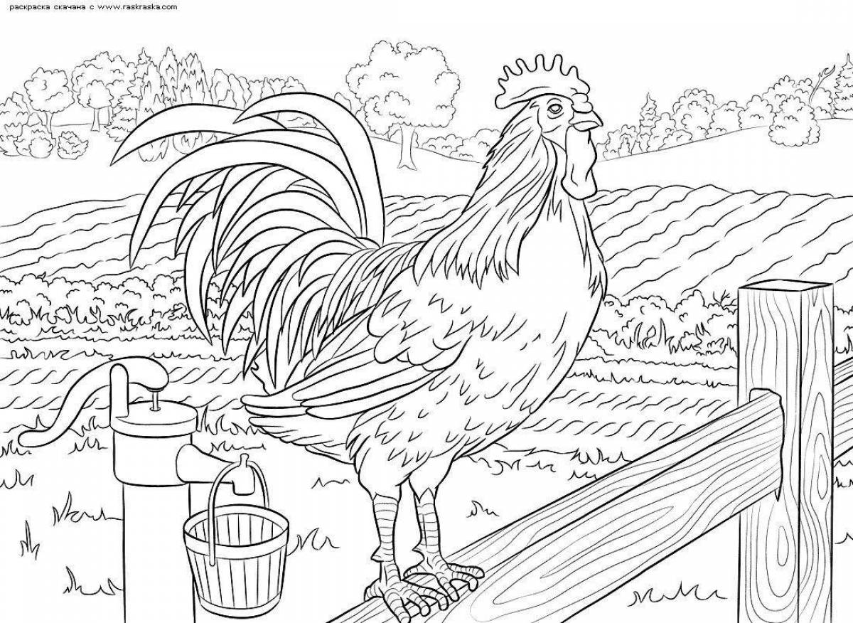 Playful cockerel drawing