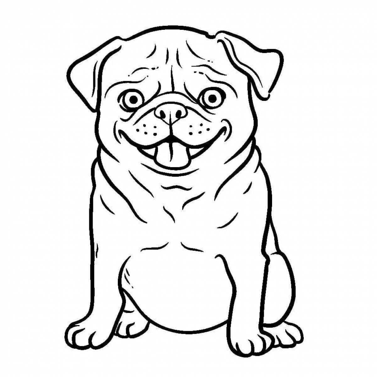 Coloring page funny pug