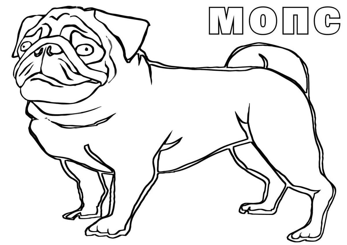 Coloring page adorable pug