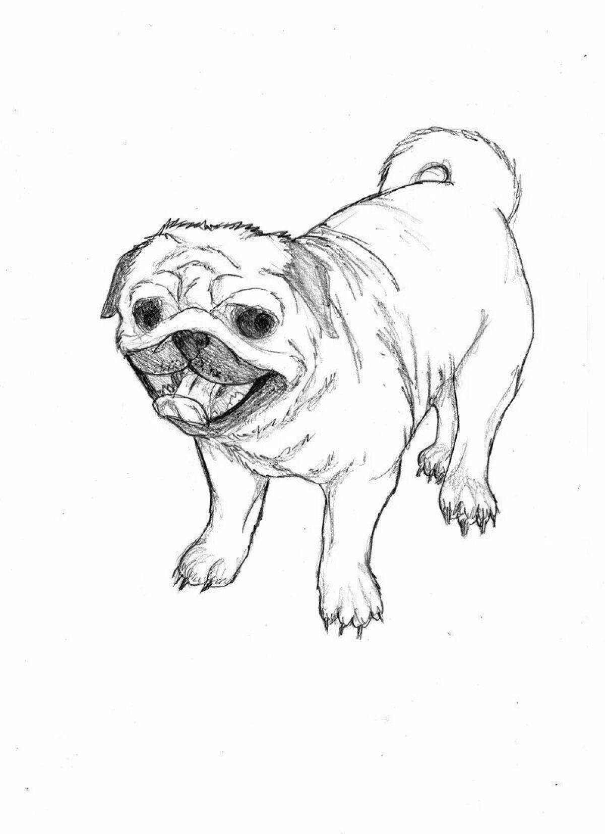 Coloring page loving pug