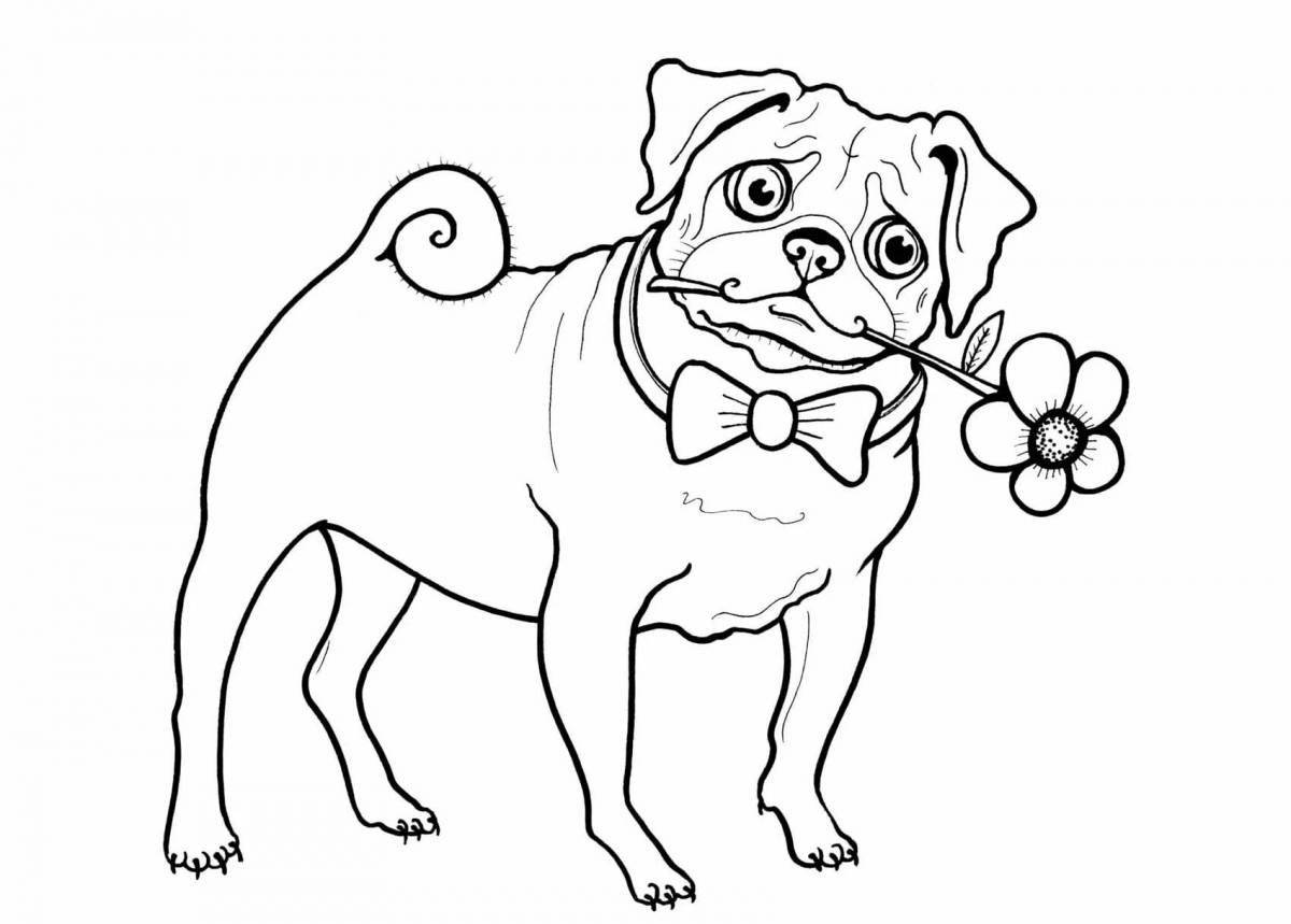Coloring page affectionate pug