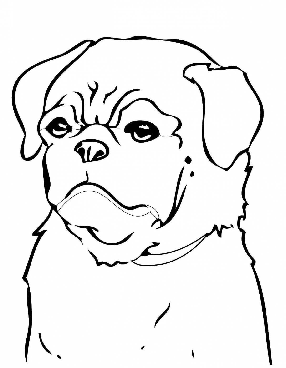 Pug content coloring page
