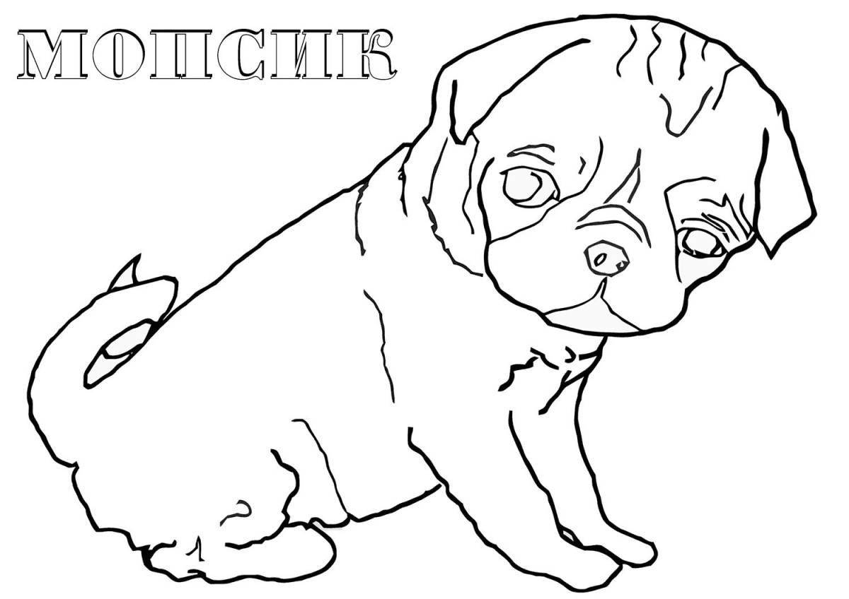 Colorful pug coloring page