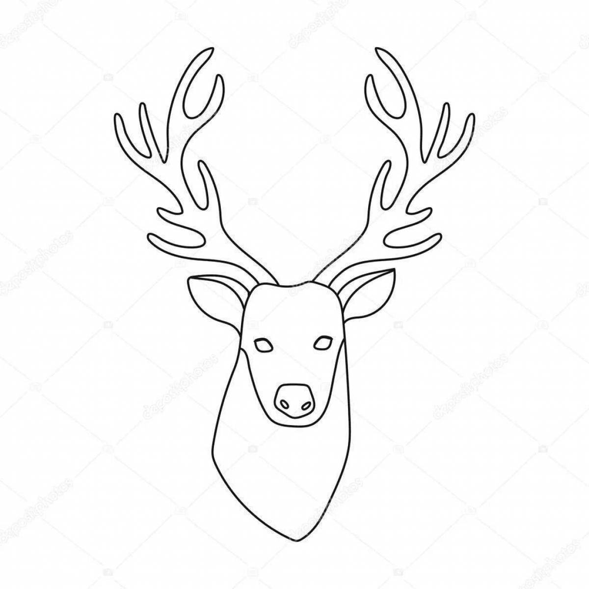 Great deer head coloring